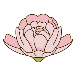 Gardenia de trazo de color botánico Diseño PNG