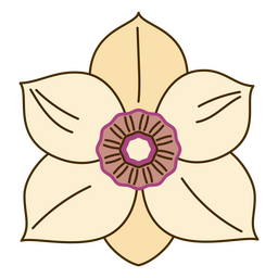 Botanical color stroke magnolia PNG Design Transparent PNG