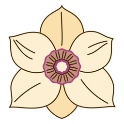 Trazo de color botánico magnolia. Diseño PNG