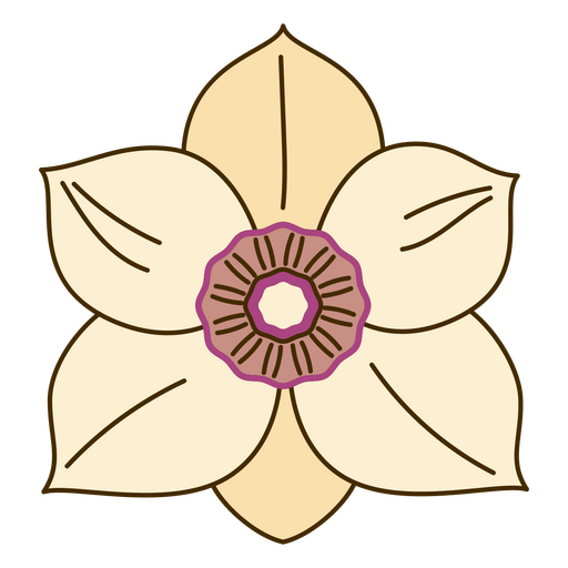 Botanische Farbstrich-Magnolie PNG-Design