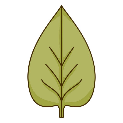 Einzelnes grünes Blatt mit Schatten PNG-Design
