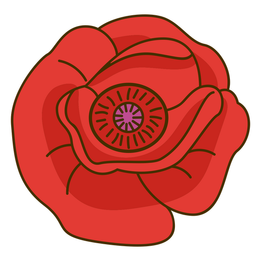 Rosa roja desde la vista superior Diseño PNG
