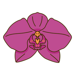 Botanical color stroke orchid PNG Design
