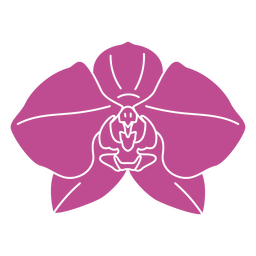 Orquídea cortada botánica Diseño PNG