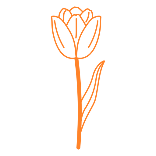 Single orange flower stroke PNG Design
