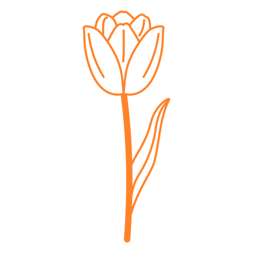 Trazo de flor de naranja único Diseño PNG