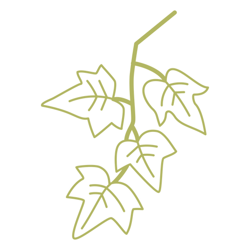 Curso de planta trepadeira verde Desenho PNG