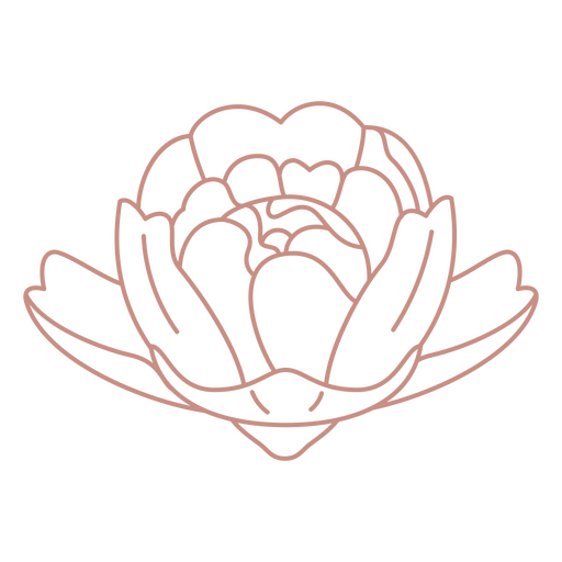 Gardenia de arte de línea botánica Diseño PNG