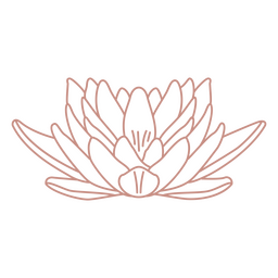 Flor de loto de arte de línea botánica Diseño PNG