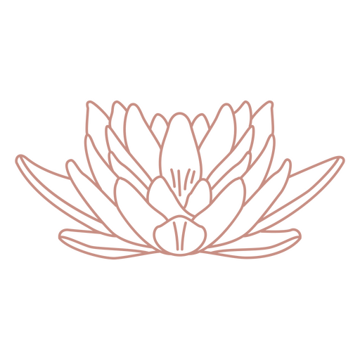 Flor de lótus de arte de linha botânica Desenho PNG