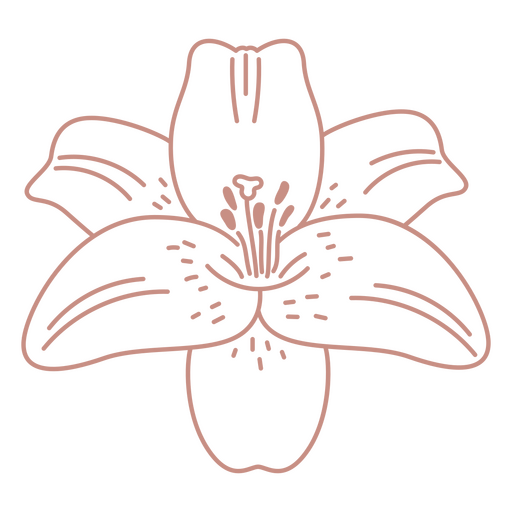 Hibisco de arte de linha botânica Desenho PNG