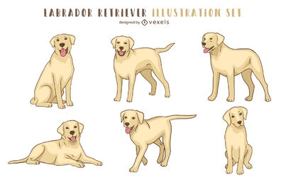 Conjunto de animales de perro golden labrador retriever