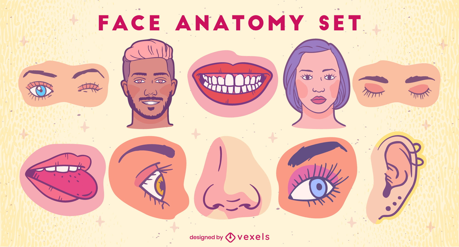 Conjunto de ilustraciones de color de anatomía facial