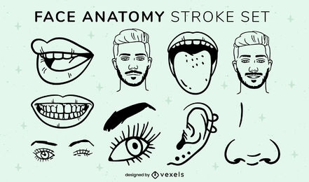Gesichtsanatomie-Elemente-Stroke-Set