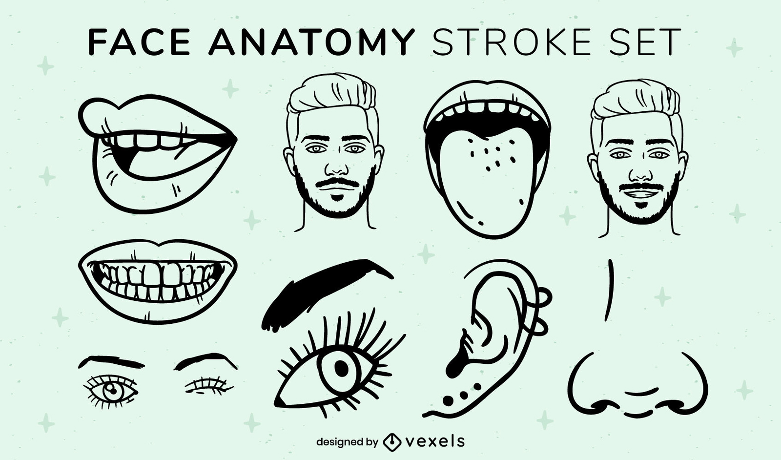 Conjunto de trazos de elementos de anatomía facial