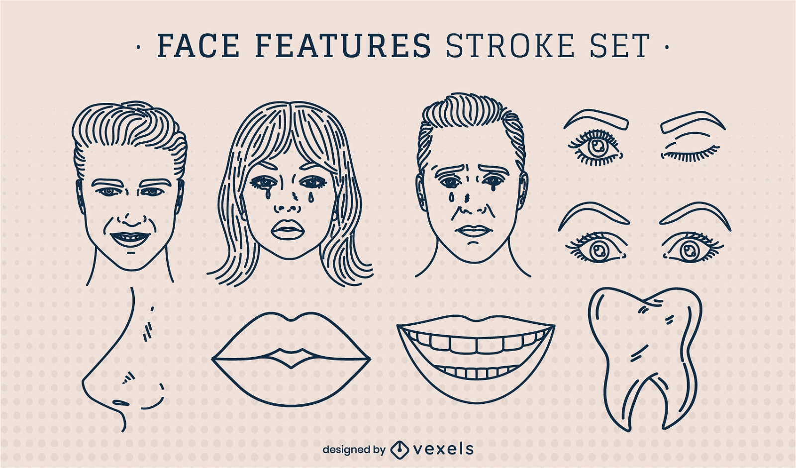 Gesichtsmerkmale Anatomie-Stroke-Set