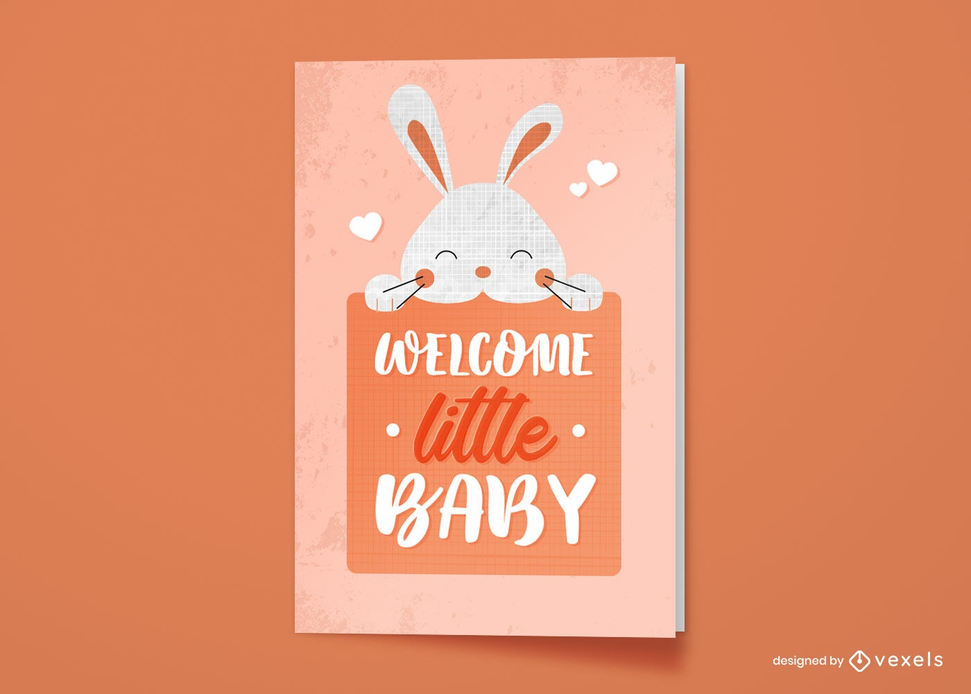 Dise?o lindo de la tarjeta de felicitaci?n del nuevo beb? del conejo