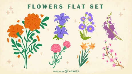 Conjunto plano de arranjos de flores