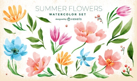 Colorful flowers watercolor nature set
