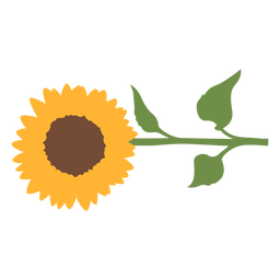 Girasol horizontal simple Diseño PNG