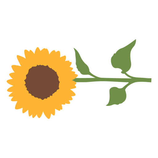 Simple horizontal sunflower PNG Design