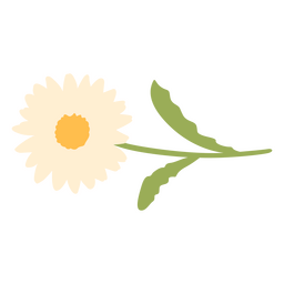 Flor de margarida plana simples