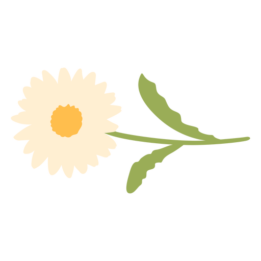 Flor de margarita plana simple Diseño PNG