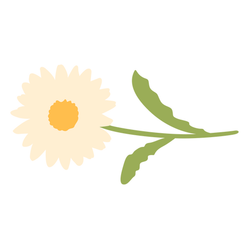 Simple flat daisy flower PNG Design