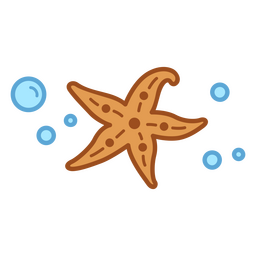 Bolhas de traçado de cor de estrela do mar Desenho PNG