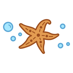 Starfish color stroke bubbles