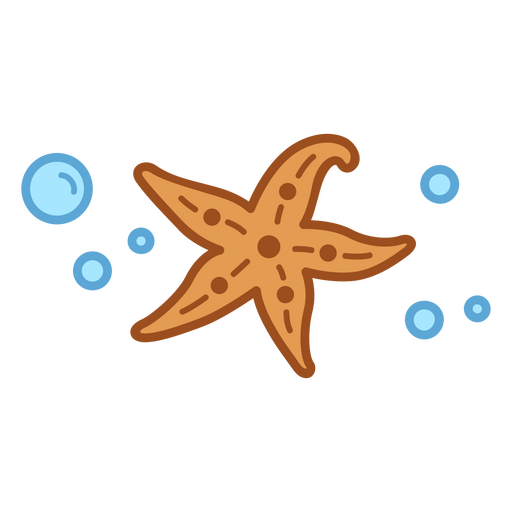Bolhas de traçado de cor de estrela do mar Desenho PNG