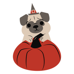 Pug pumpkin flat halloween