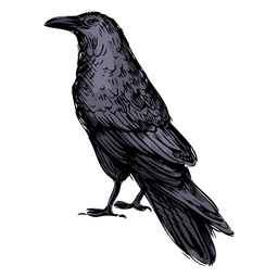 Blue raven bird 