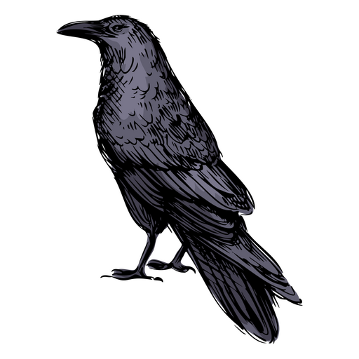 Blue raven bird  PNG Design