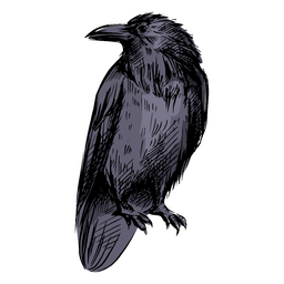 Blaue Rabenfront PNG-Design