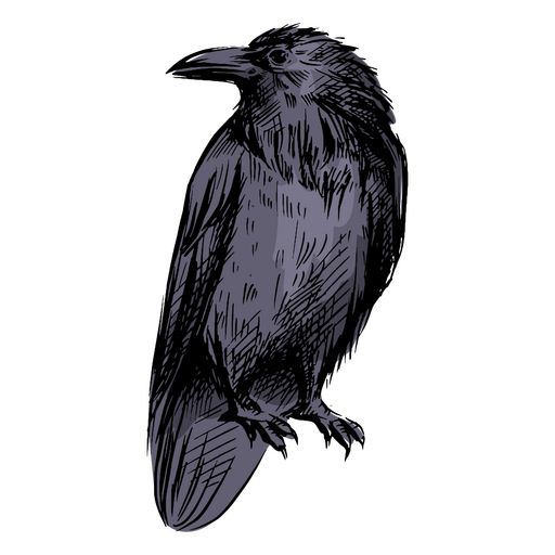 Blue raven front PNG Design
