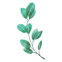 Desenho de planta delicada botânica em aquarela