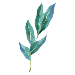 Desenho de plantas delicadas em aquarela