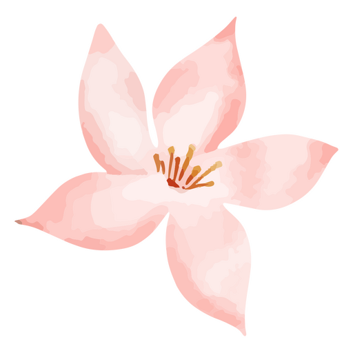 Desenho de flor delicada em aquarela