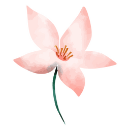 Desenho de flor botânica em aquarela Desenho PNG