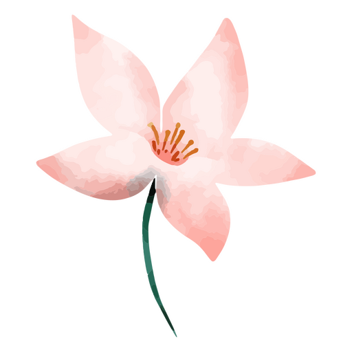 Desenho de flor botânica em aquarela Desenho PNG