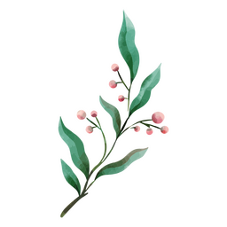 Botanical delicate watercolor plant drawing PNG Design