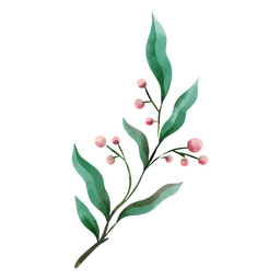 Dibujo de planta de acuarela delicada botánica