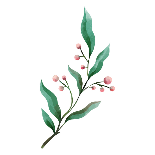 Dibujo de planta de acuarela delicada botánica
