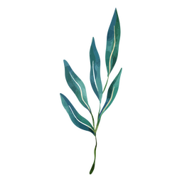 A planta delicada da aquarela botânica deixa o desenho