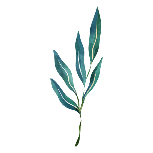 A planta delicada da aquarela botânica deixa o desenho Desenho PNG