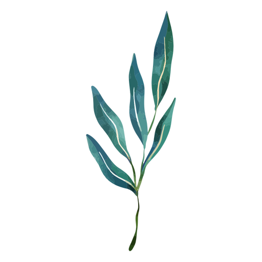 Dibujo de hojas de plantas delicadas acuarela botánica Diseño PNG