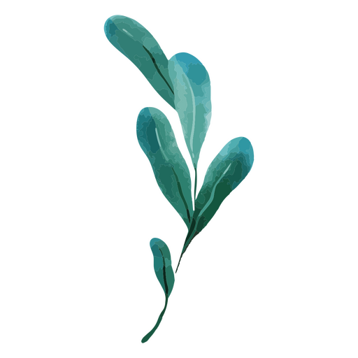Botanische Aquarellnatur zarte Pflanzenzeichnung PNG-Design