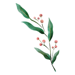 Plant watercolor nature delicate drawing PNG Design