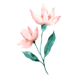 Desenho delicado da natureza da aquarela das flores